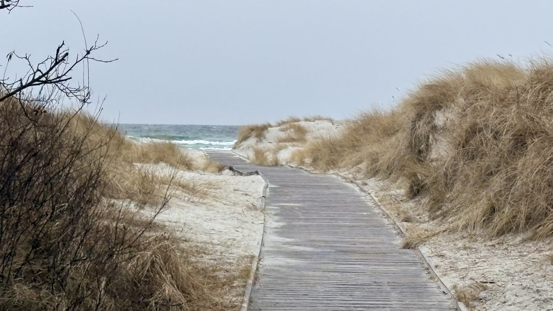 Dueodde Strand 2